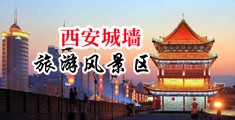 淫女兽交小说中国陕西-西安城墙旅游风景区